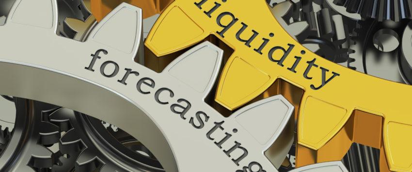 Managing Liquidity with the Crash Proof Retirement System